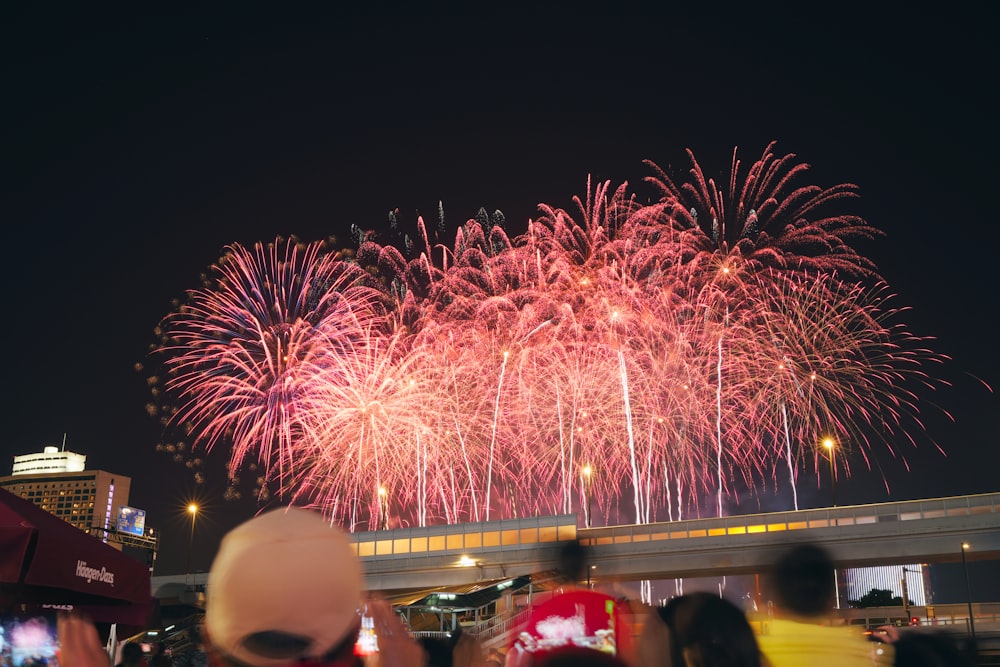 a crowd of people watching a fireworks display