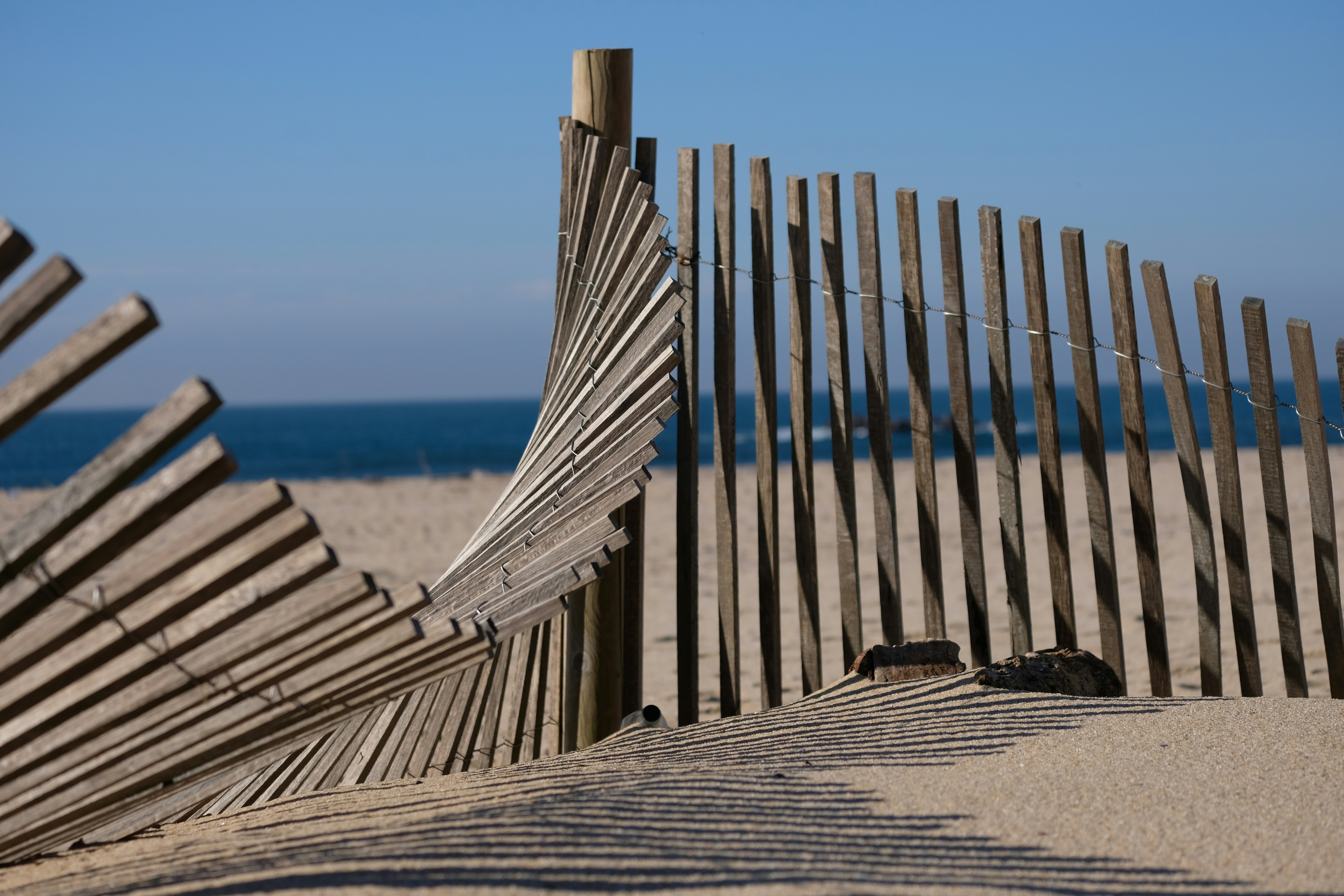 Photo by j_paulo_mag