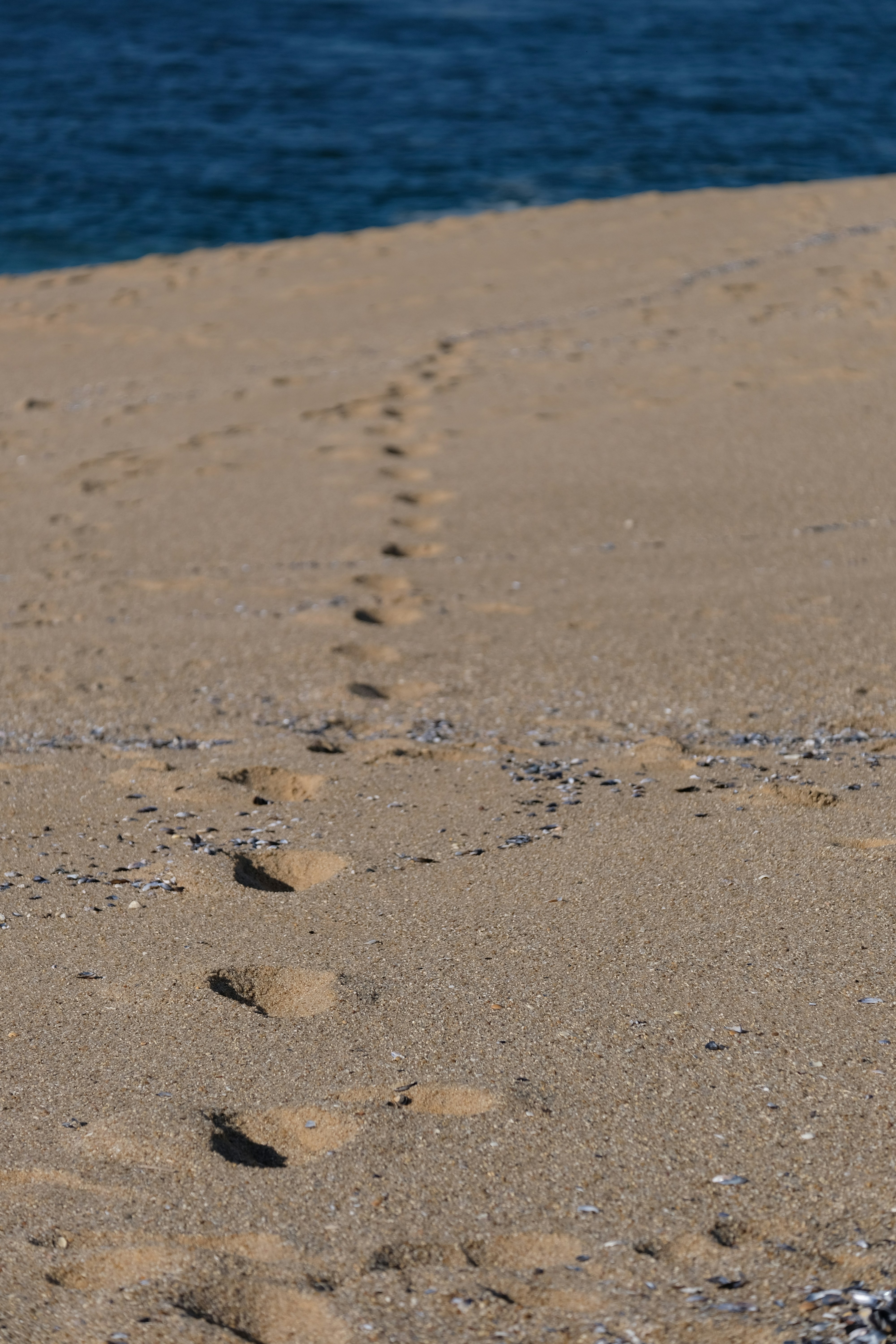 Photo by j_paulo_mag