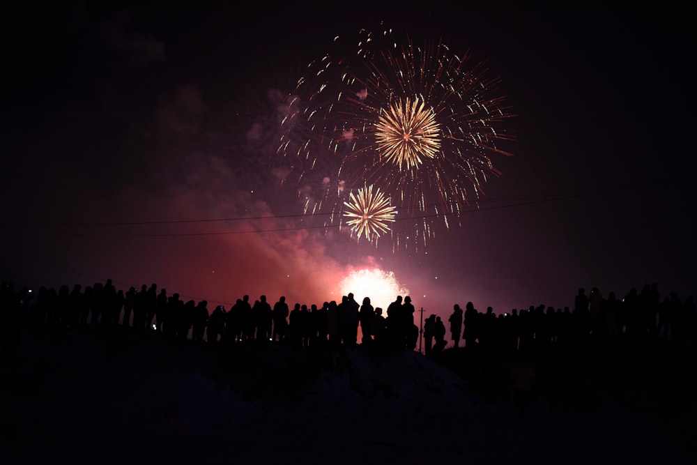 a crowd of people watching a fireworks display