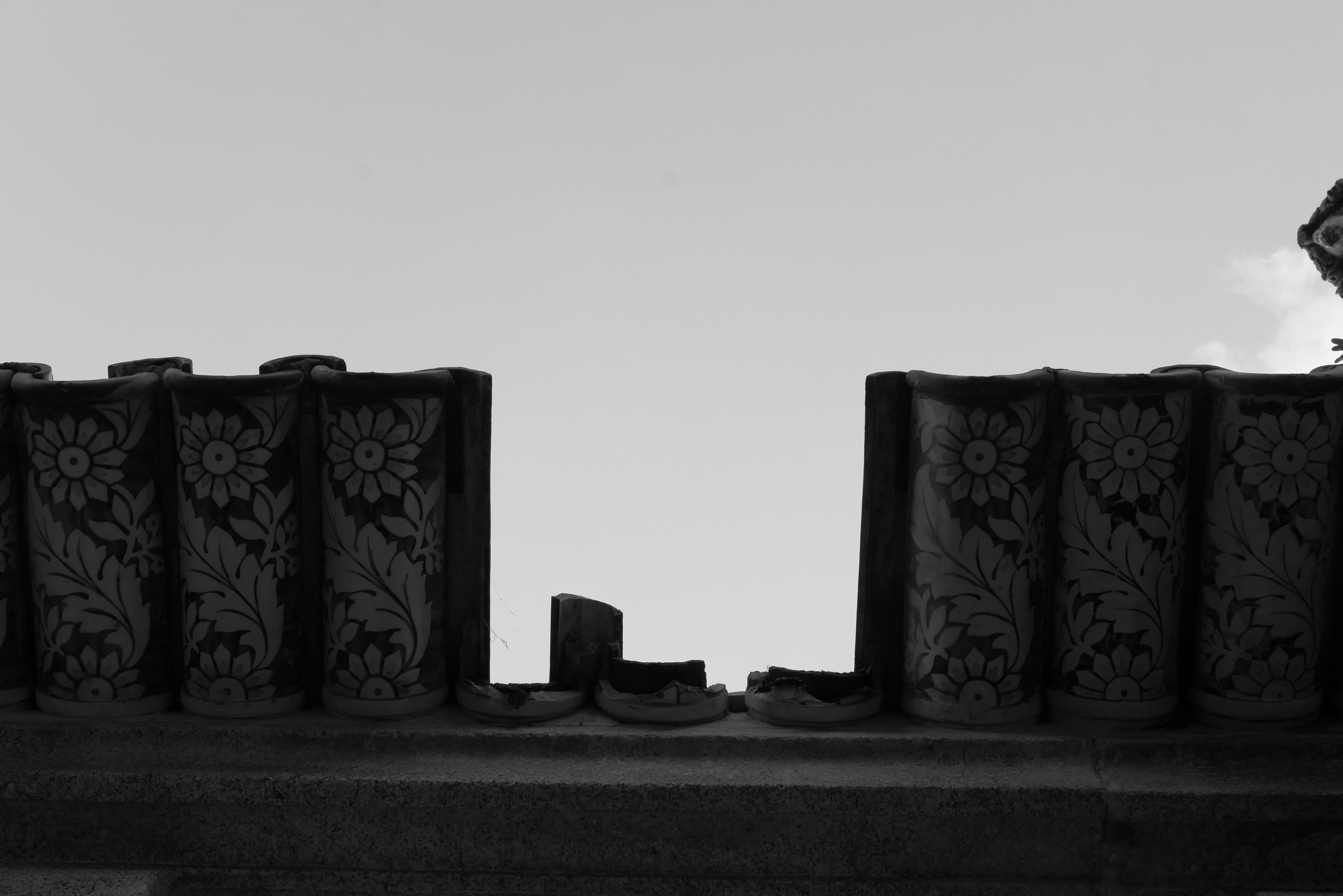 Photo by j_paulo_mag