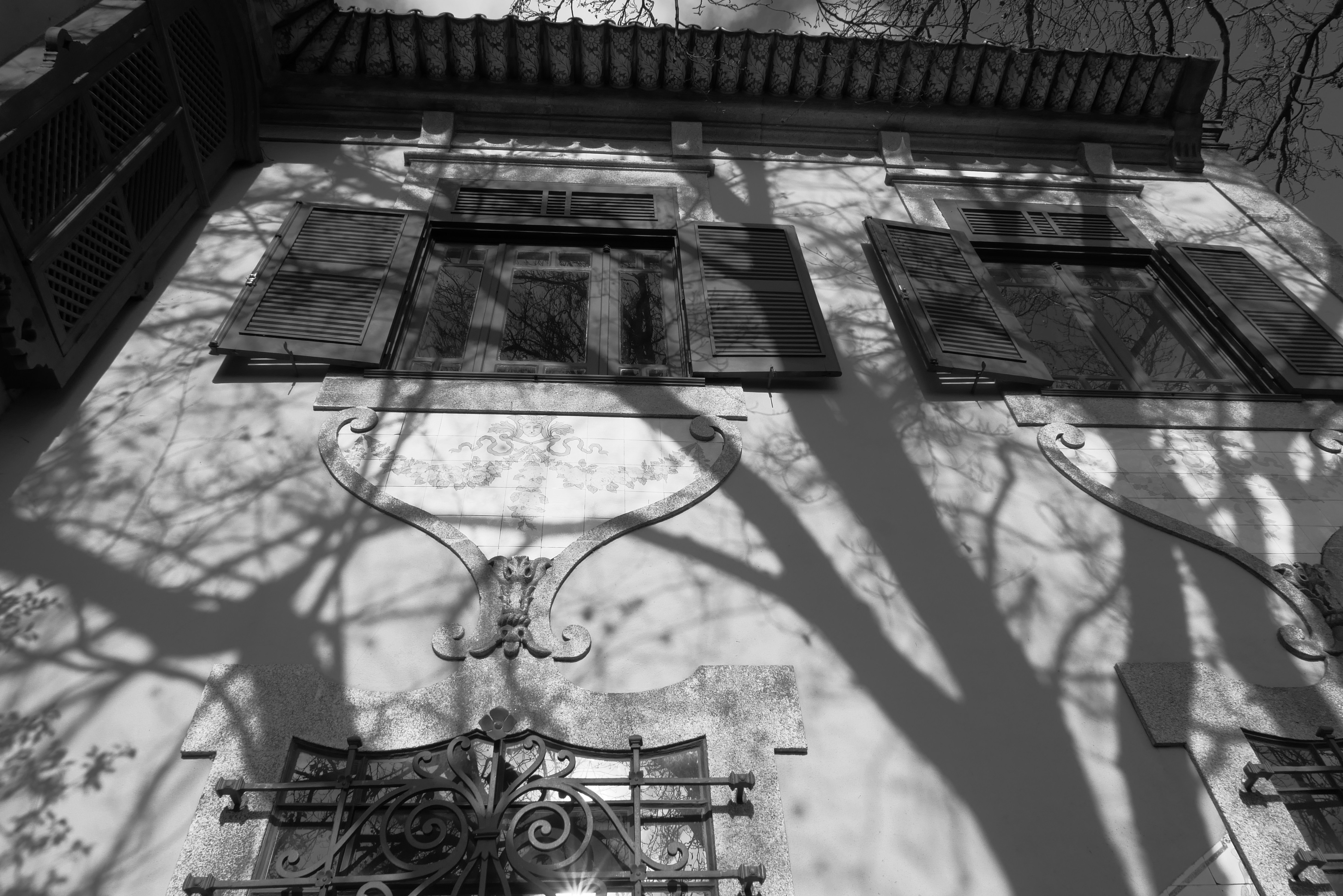 Photo by j_paulo_mag