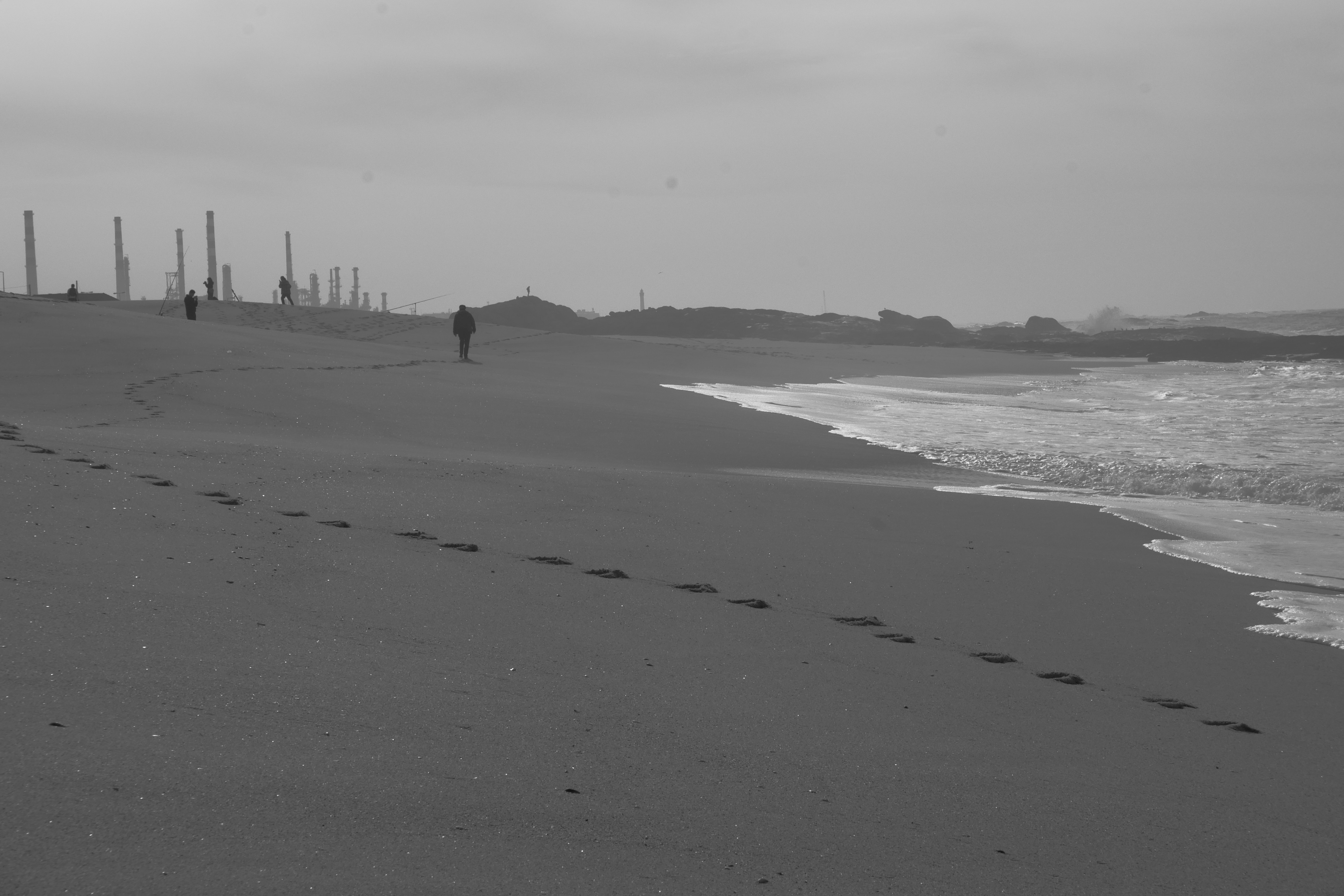 Photo by j_paulo_mag