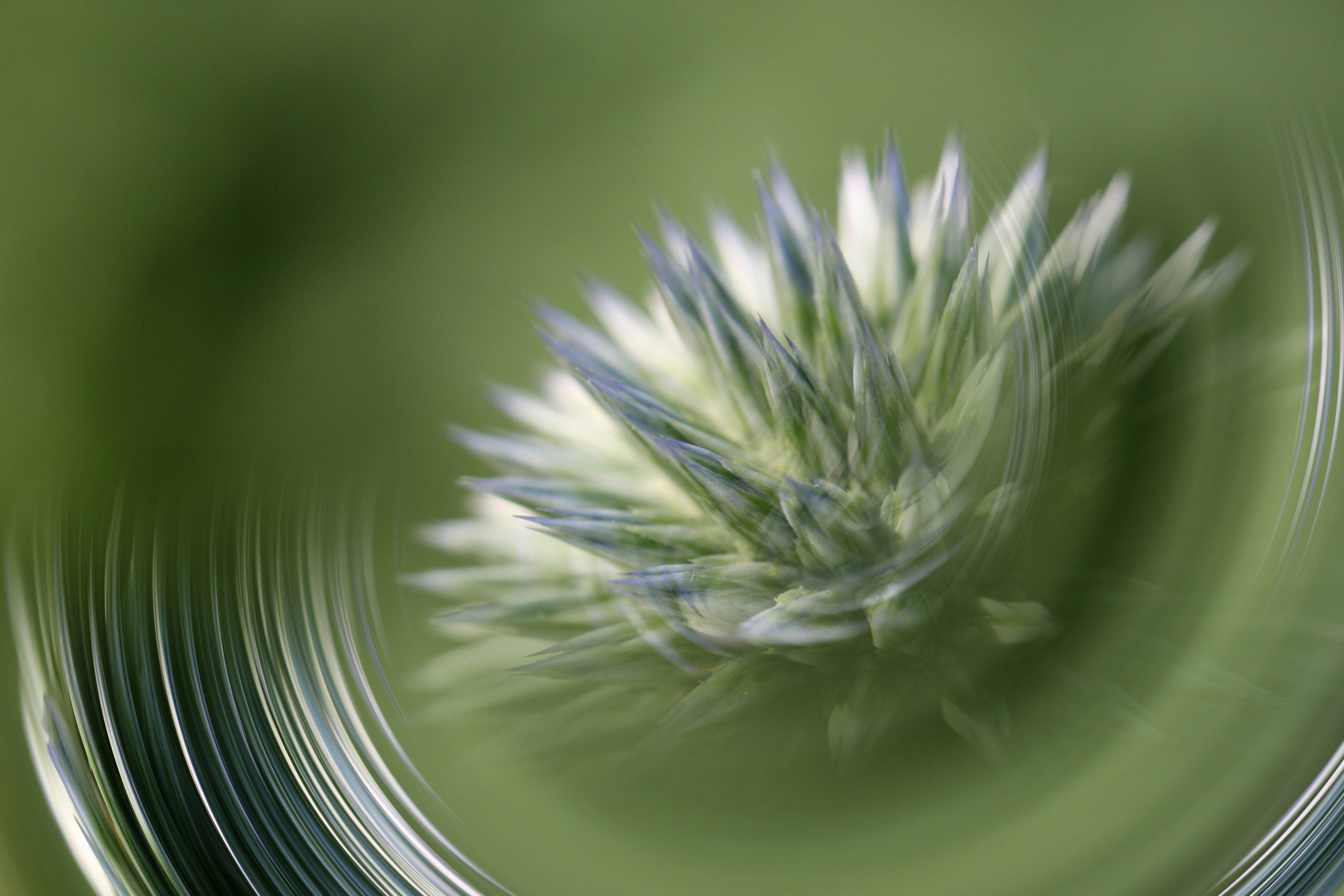 Mag Phos 6X - Nature's Muscle Relaxant