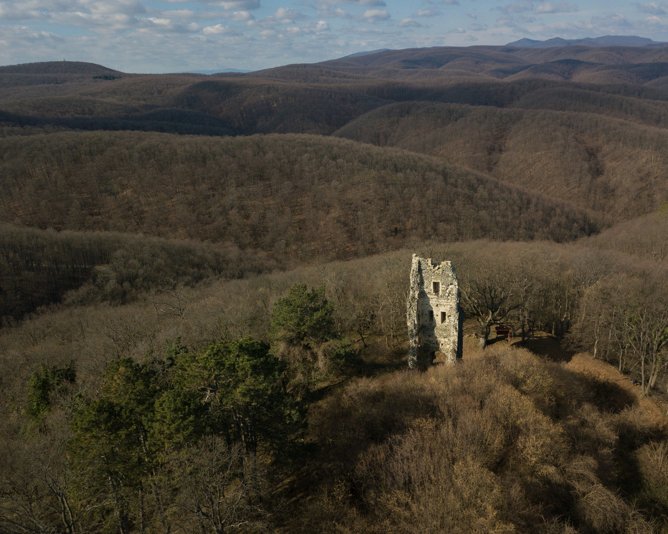 an old tower in the middle of a forest
