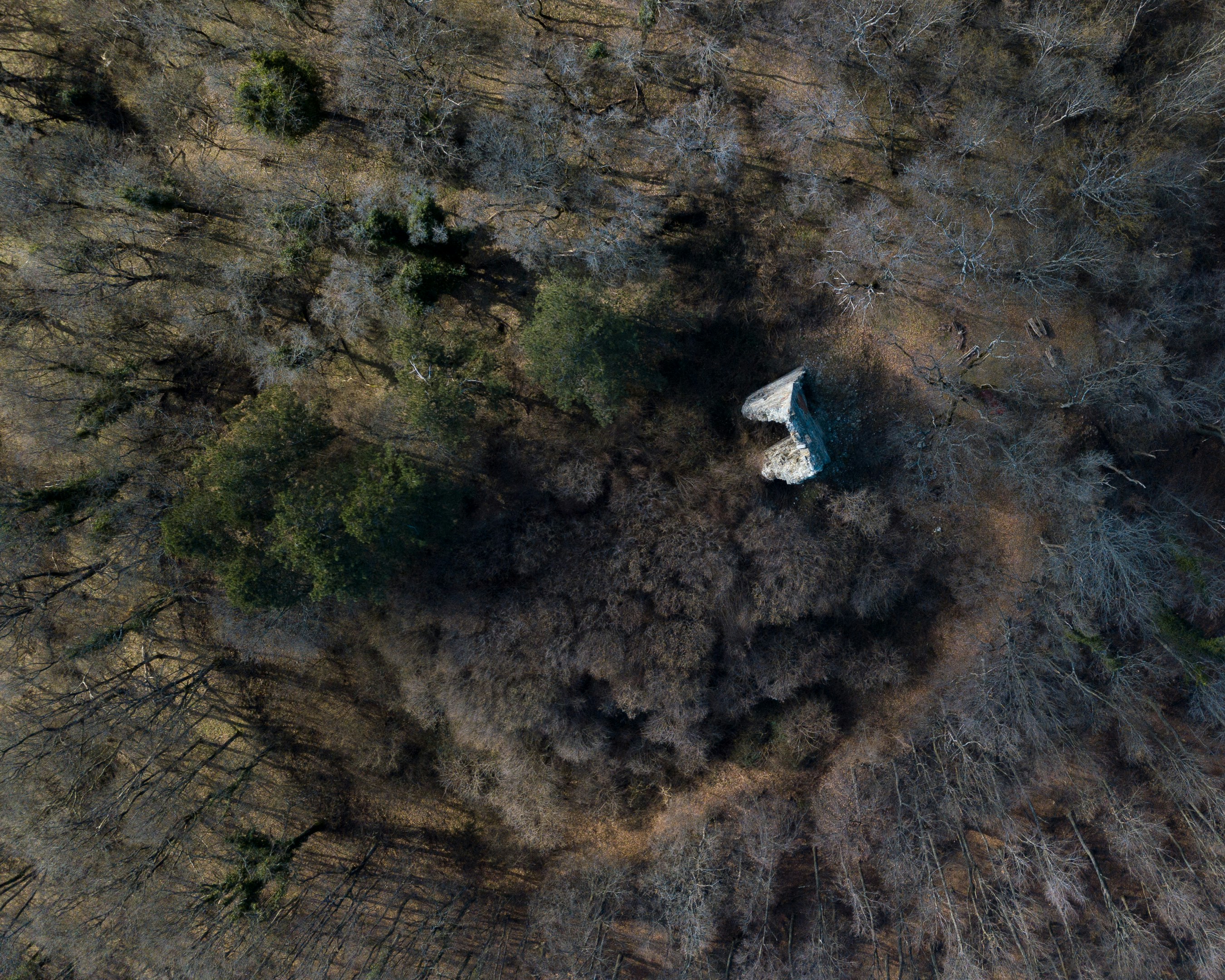 Photo by vjeblackbirdlion