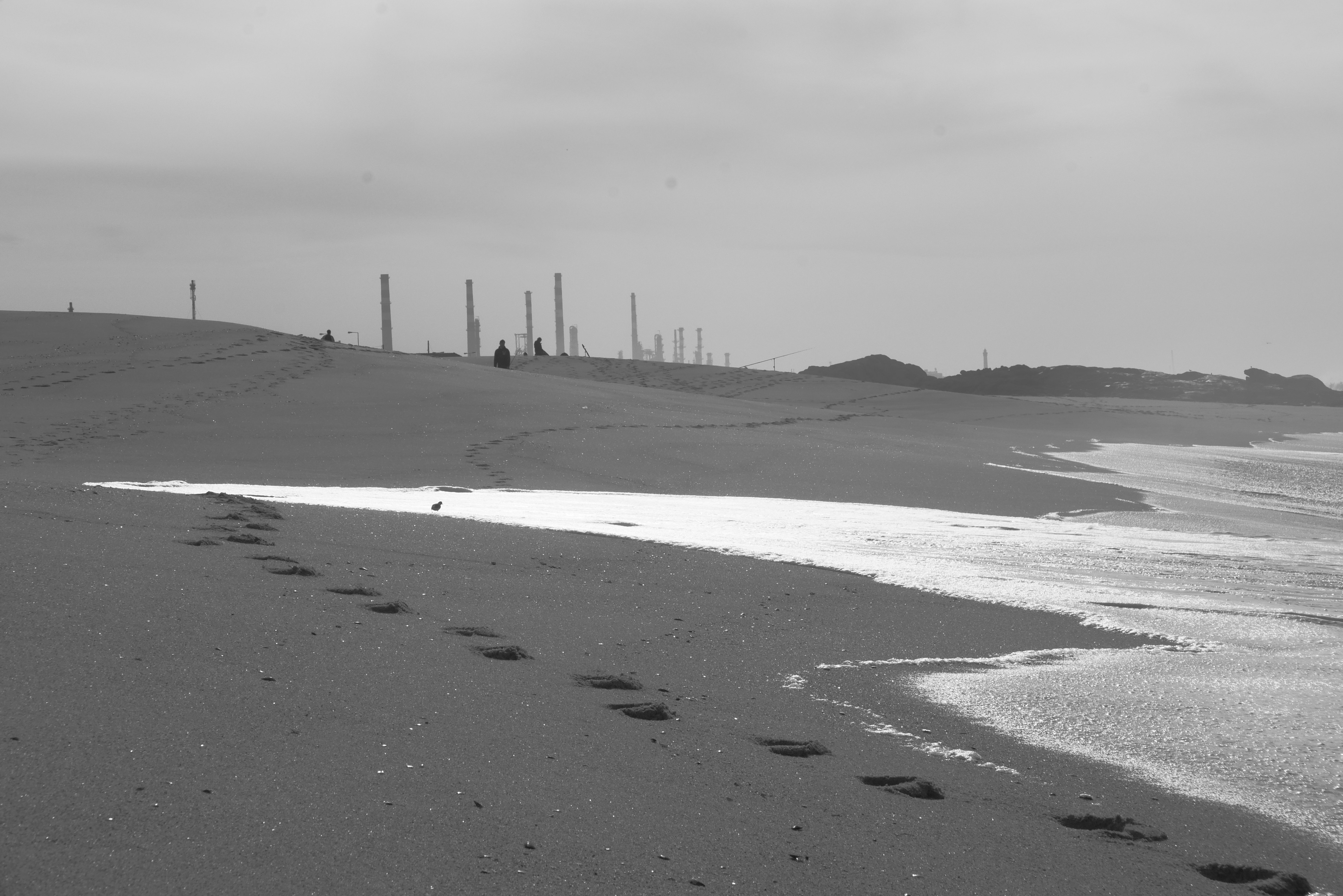 Photo by j_paulo_mag