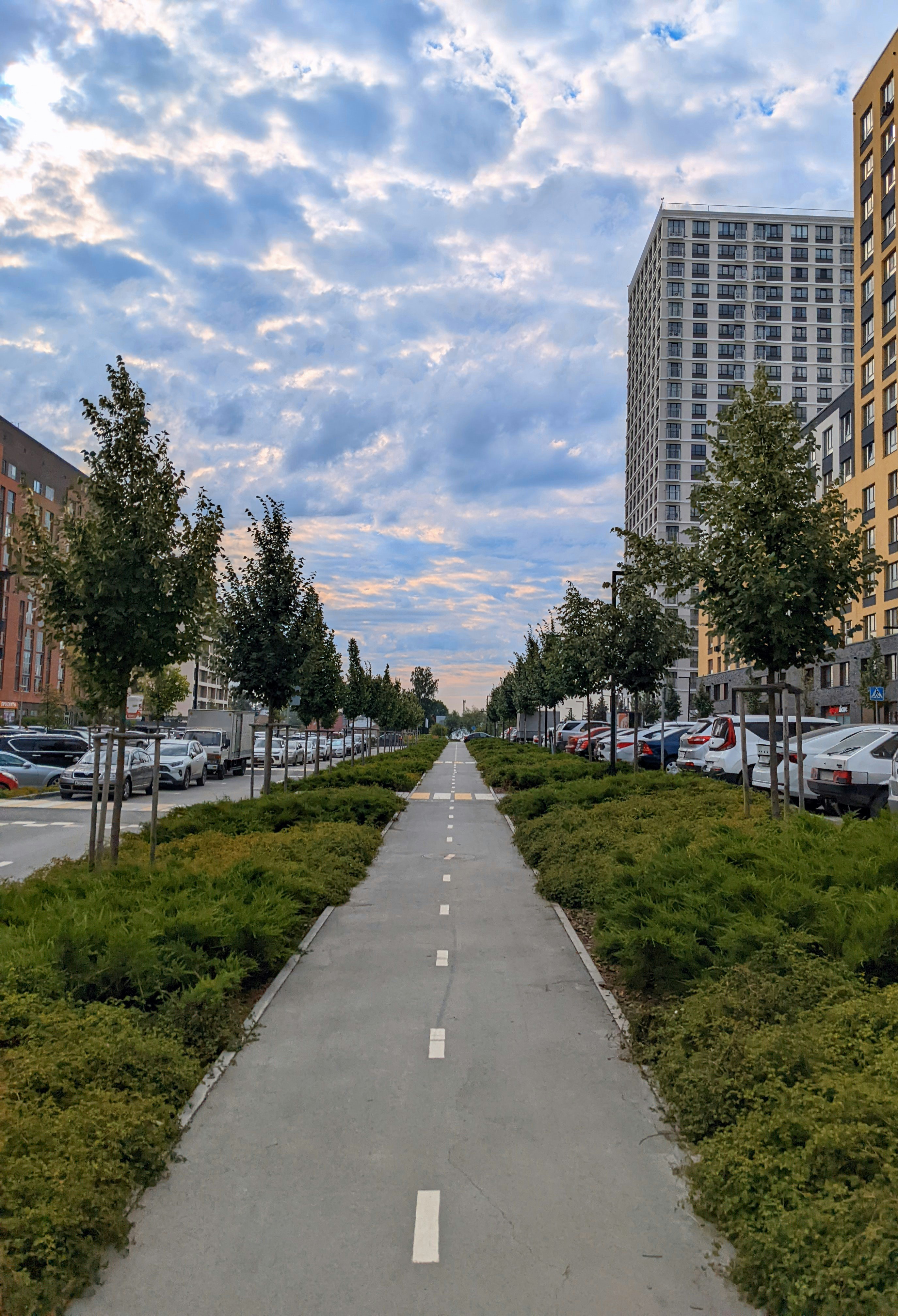 a street lined with tall buildings next to a lush green park