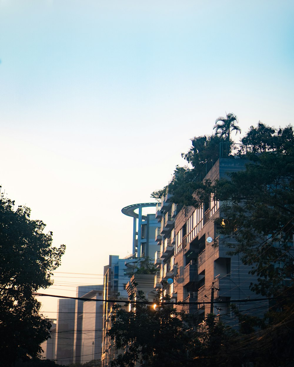 a tall building with lots of windows next to trees