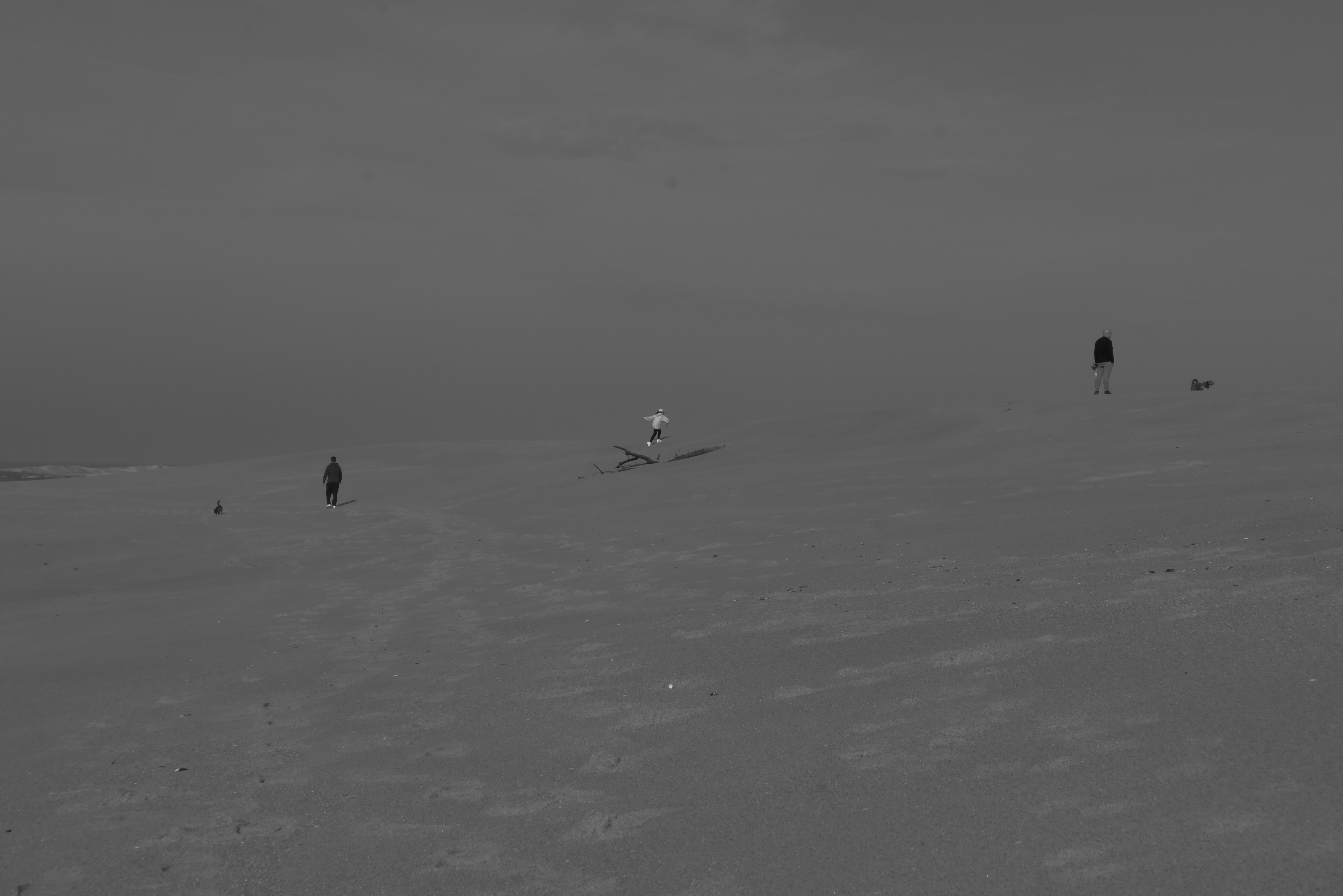 Photo by j_paulo_mag