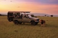a safari vehicle with passengers and a lion