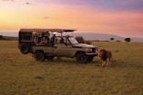 a safari vehicle with passengers and a lion