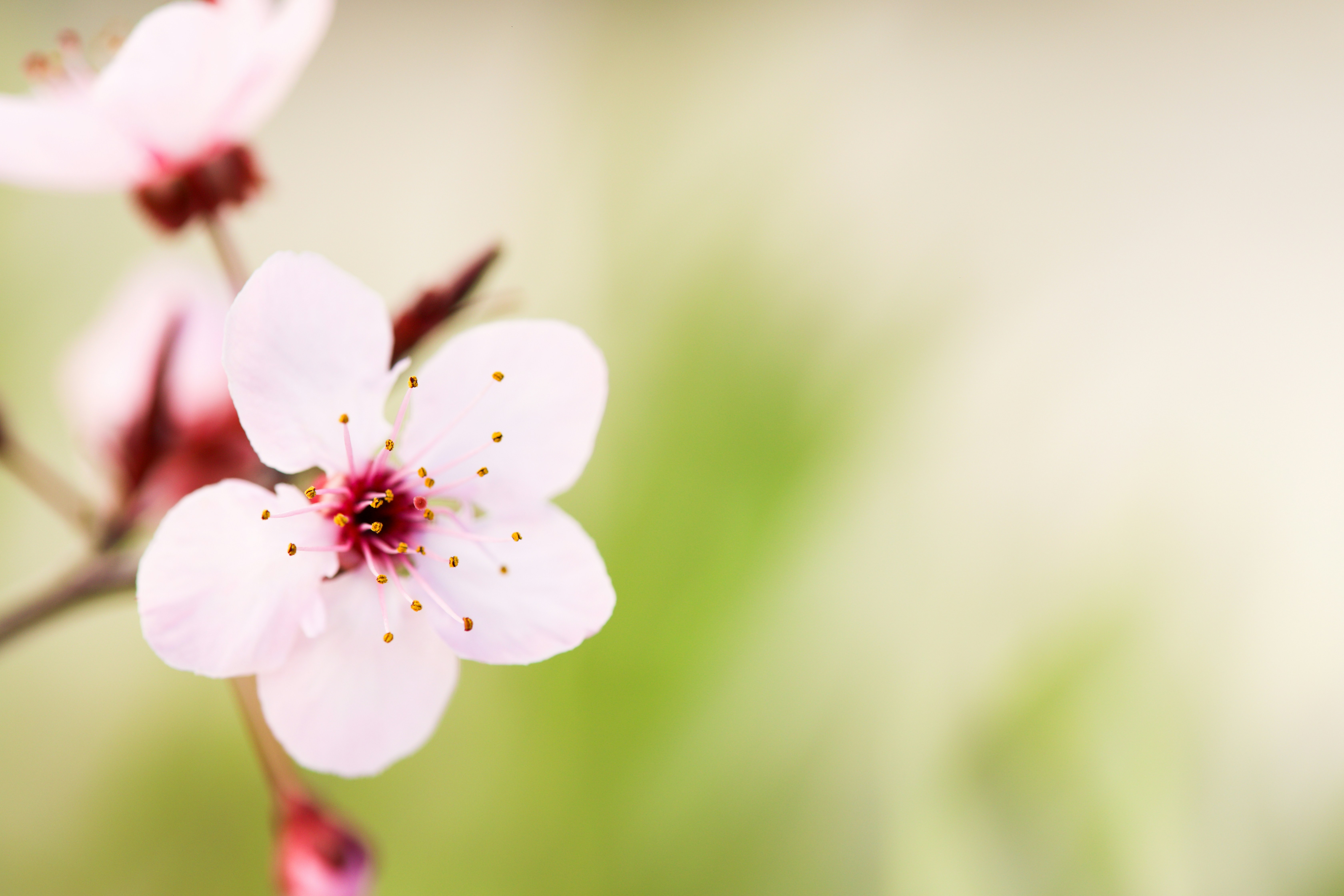 Photo by maryna_kaliush_khan