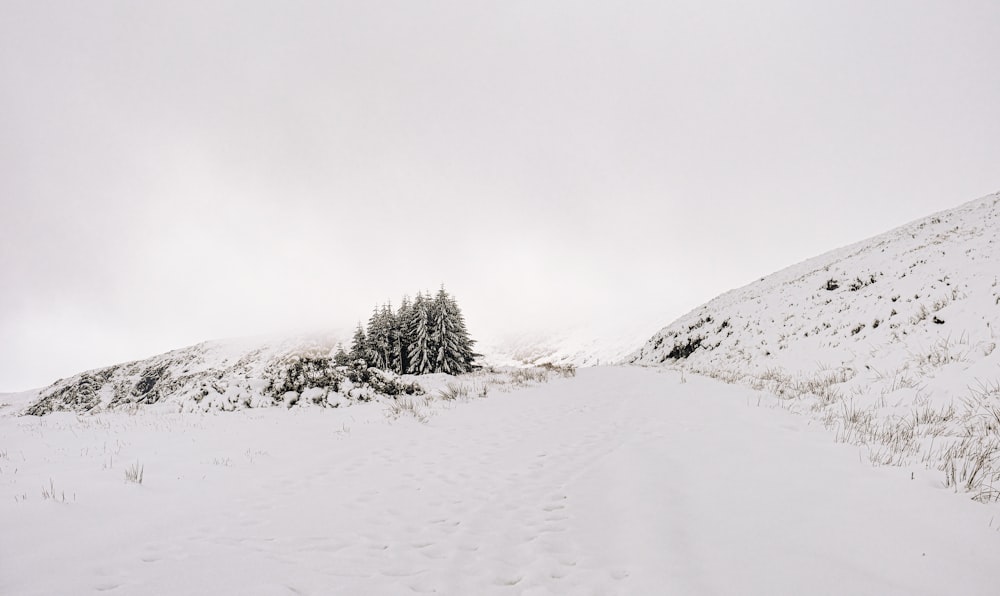 a person riding skis down a snow covered slope