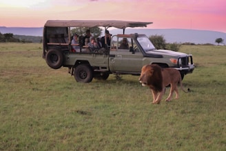a group of people riding in the back of a truck