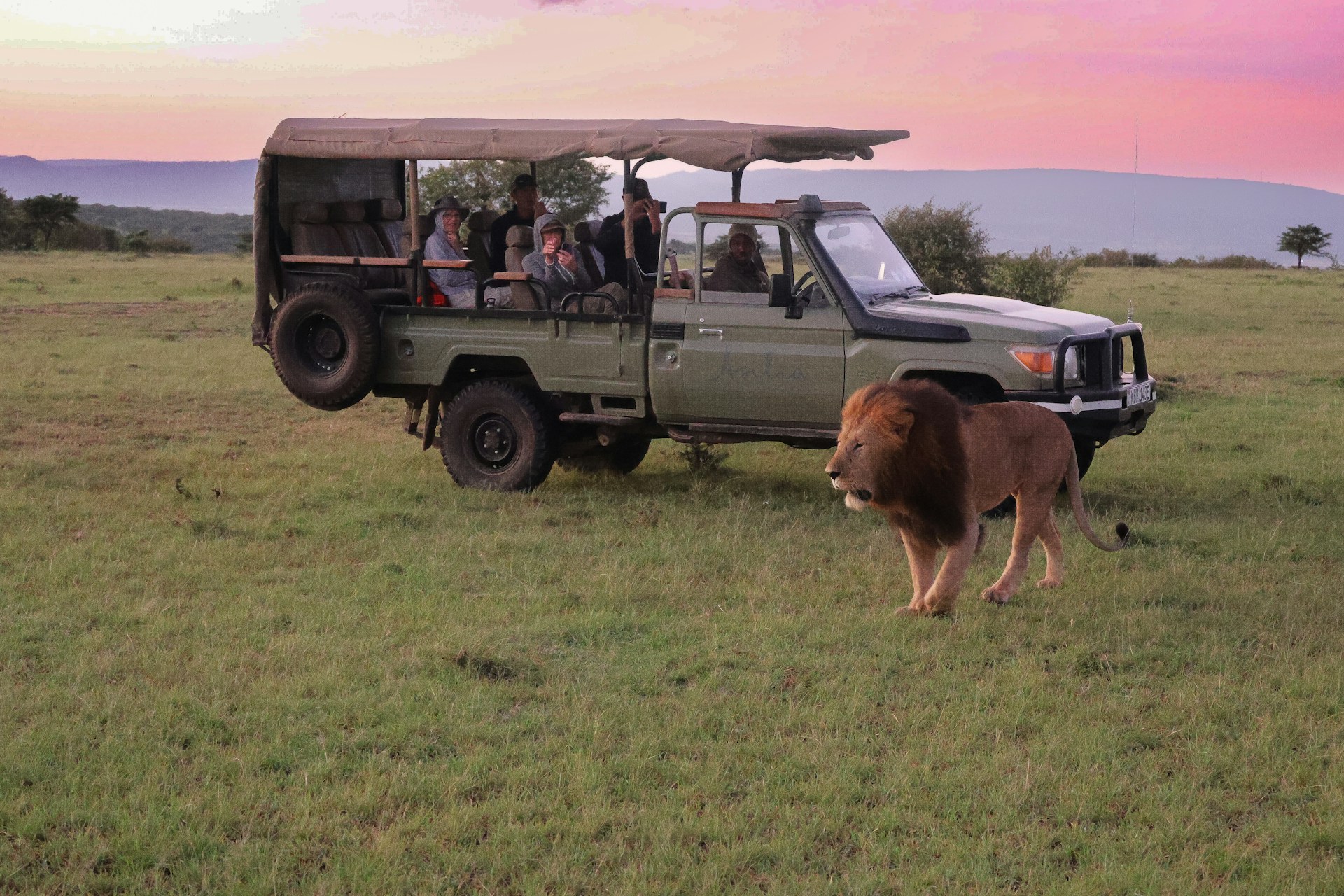 a group of people riding in the back of a truck