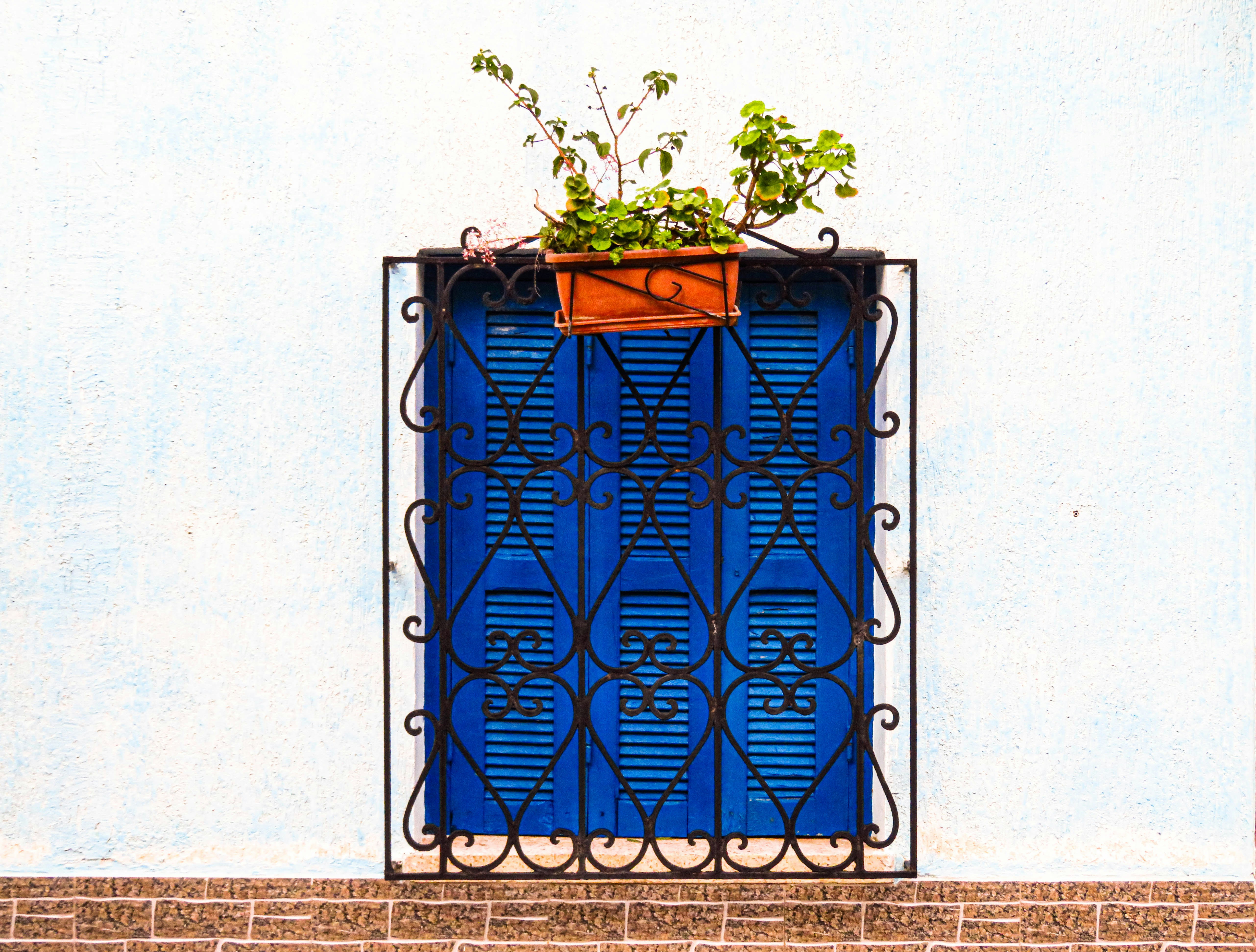 Photo by jgcachafeiro