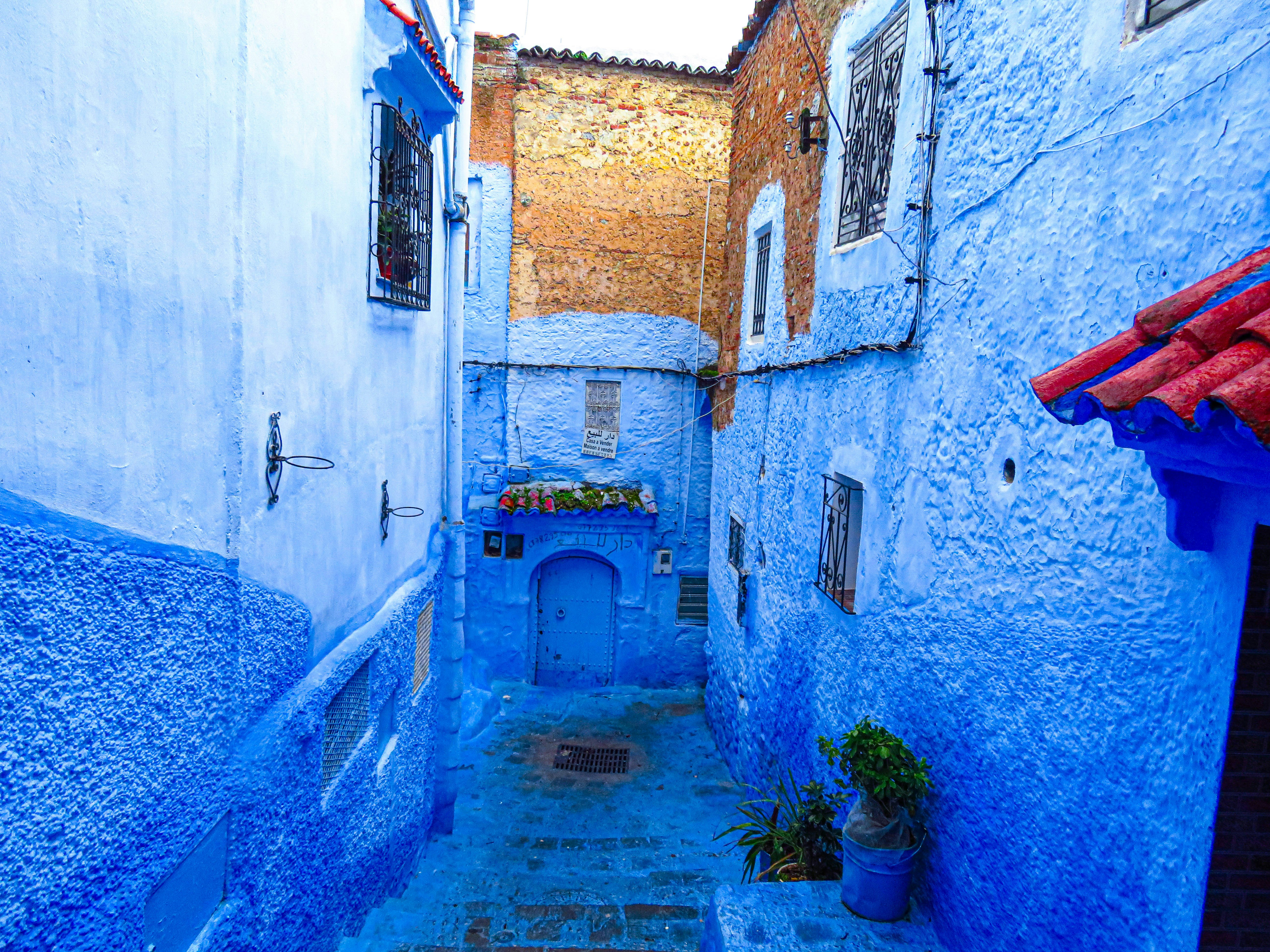 Photo by jgcachafeiro