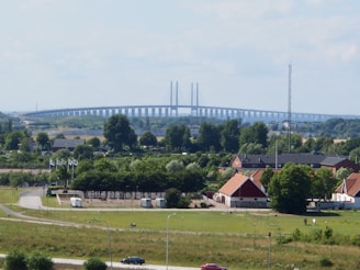 a large bridge over a lush green field