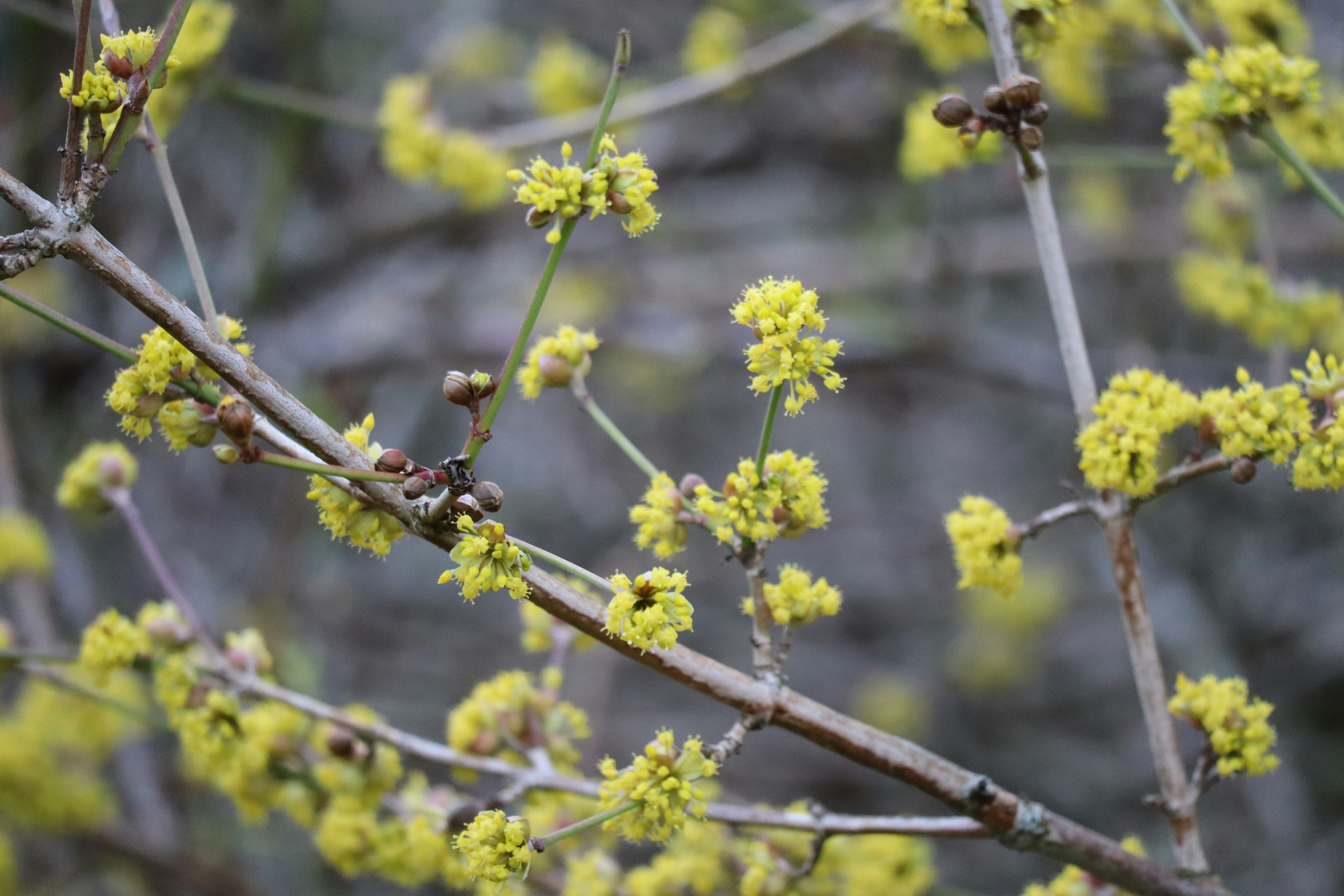 Photo by nino_steffen