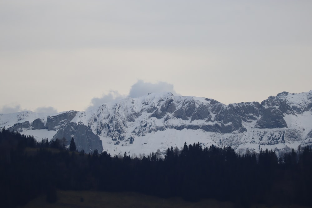 a snow covered mountain range with trees in the foreground