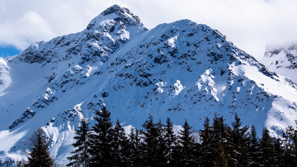 a snow covered mountain with pine trees in the foreground