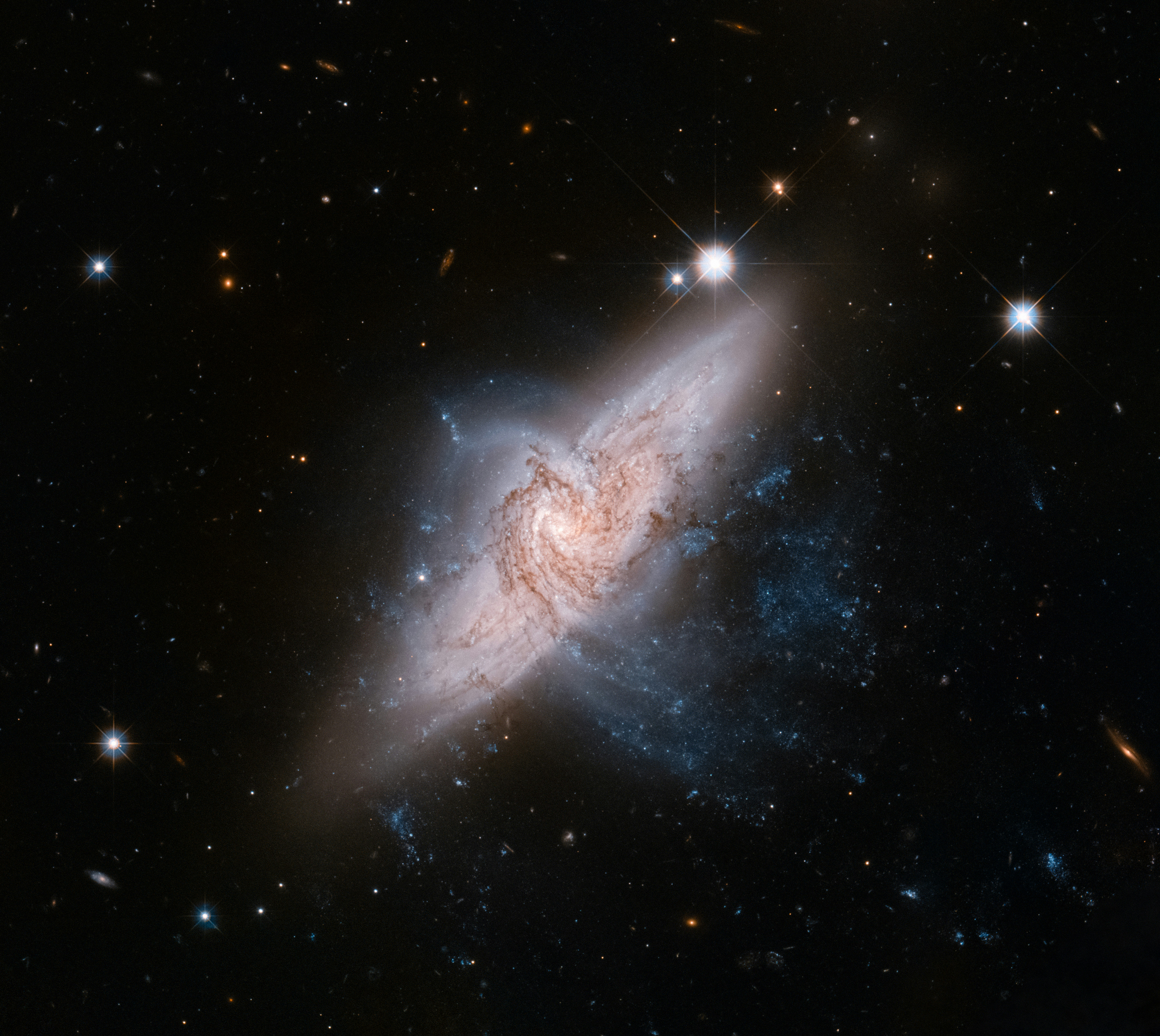 photo-1709408634794-a4f6688cd196?ixid=M3wxMjA3fDB8MXxzZWFyY2h8MTl8fG04OXxlbnwwfHx8fDE3NjExOTY1MDR8MA\u0026ixlib=rb-4.1.0