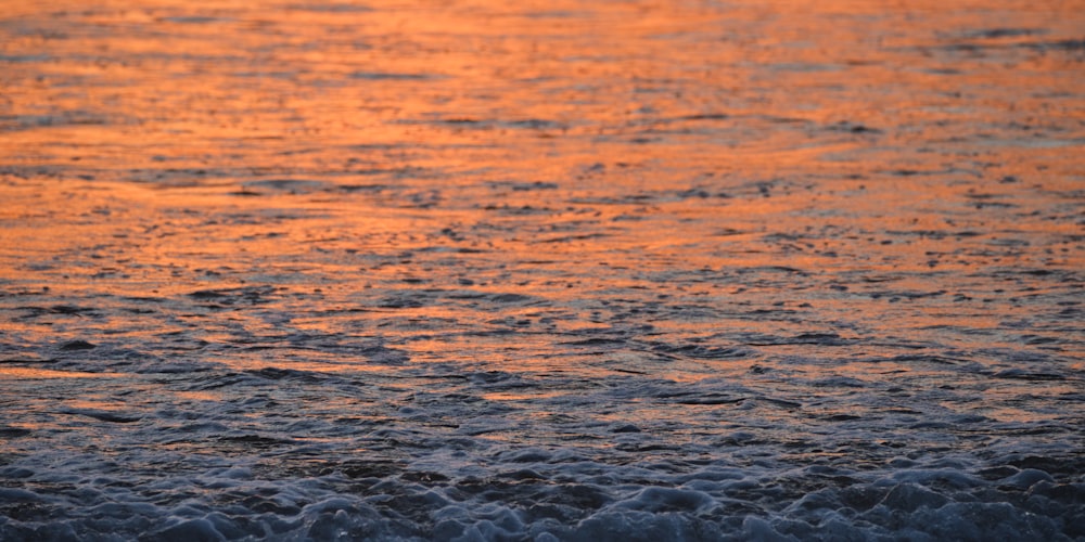 un cuerpo de agua con olas que entran al atardecer