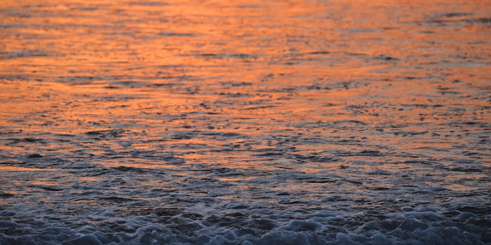 a body of water with waves coming in at sunset