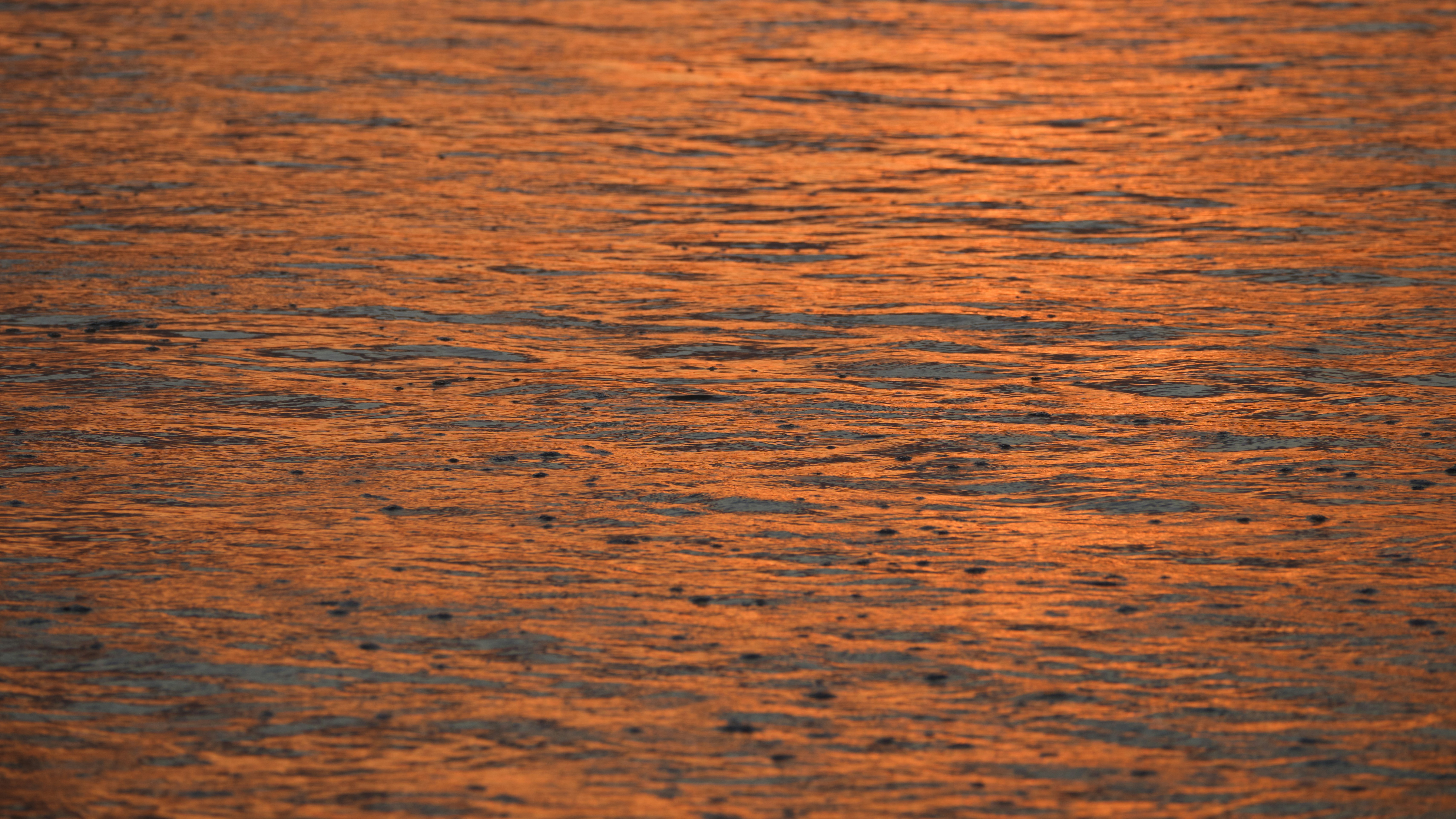 Photo by joshuakettle