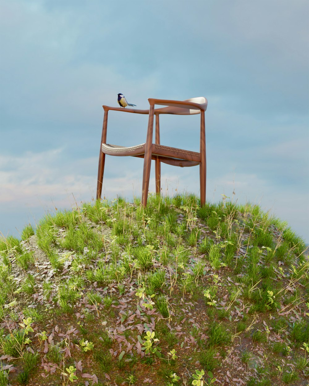 a chair sitting on top of a grass covered hill