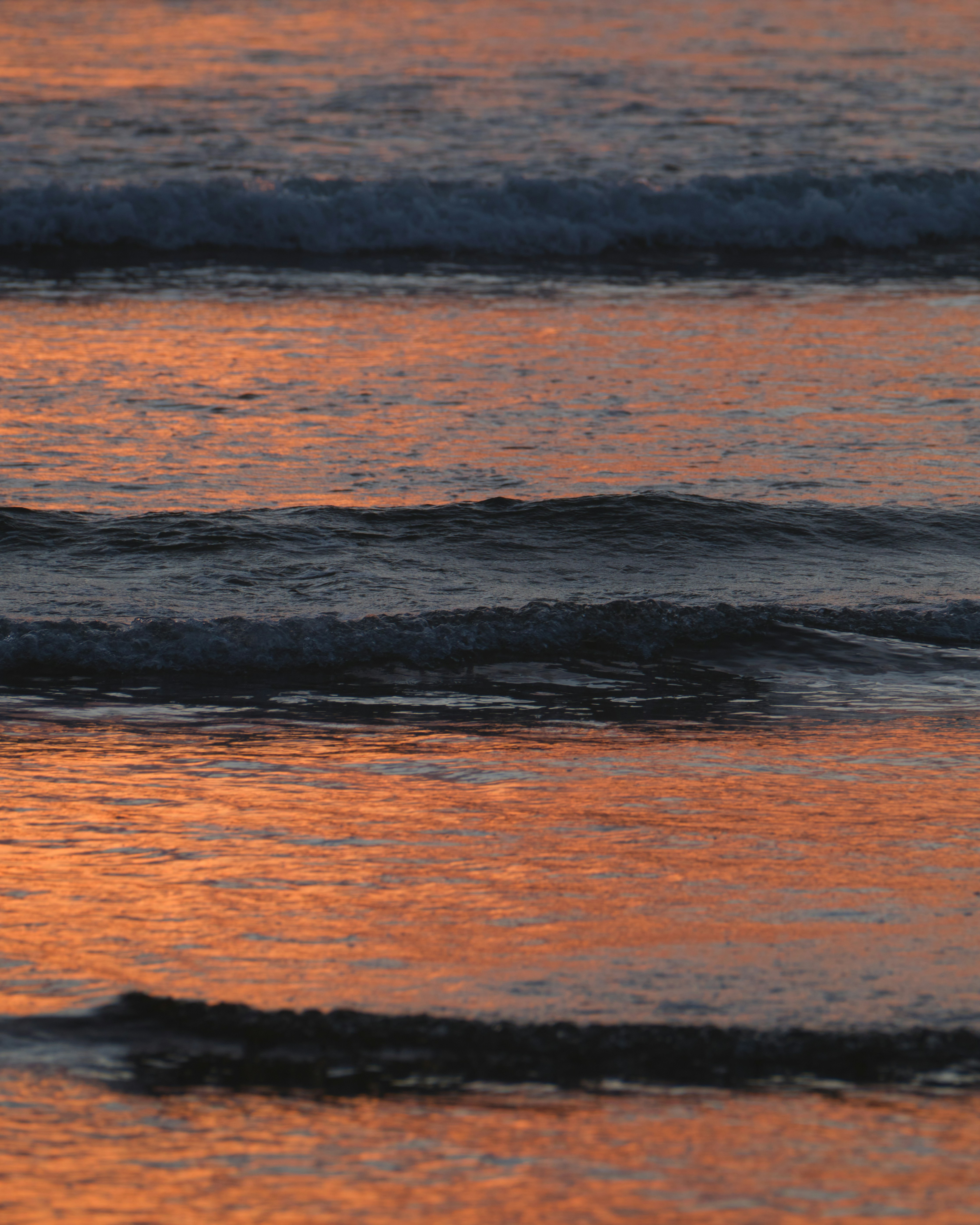 Photo by joshuakettle