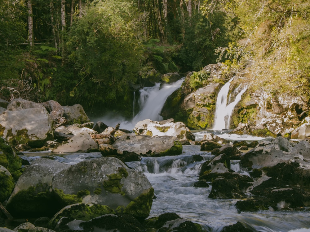 a small waterfall in the middle of a forest