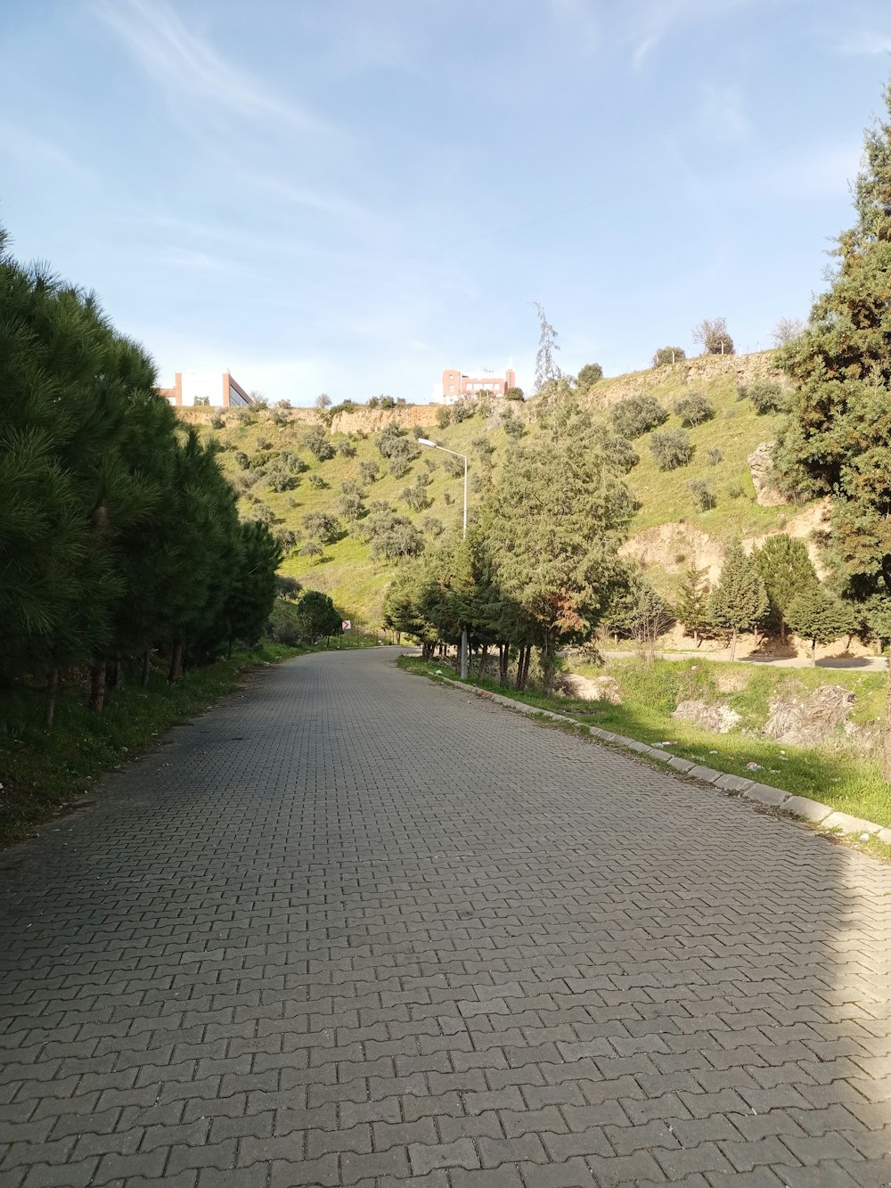 a paved road with trees and a hill in the background