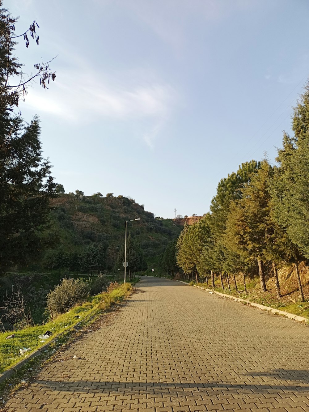 a paved road with trees on both sides