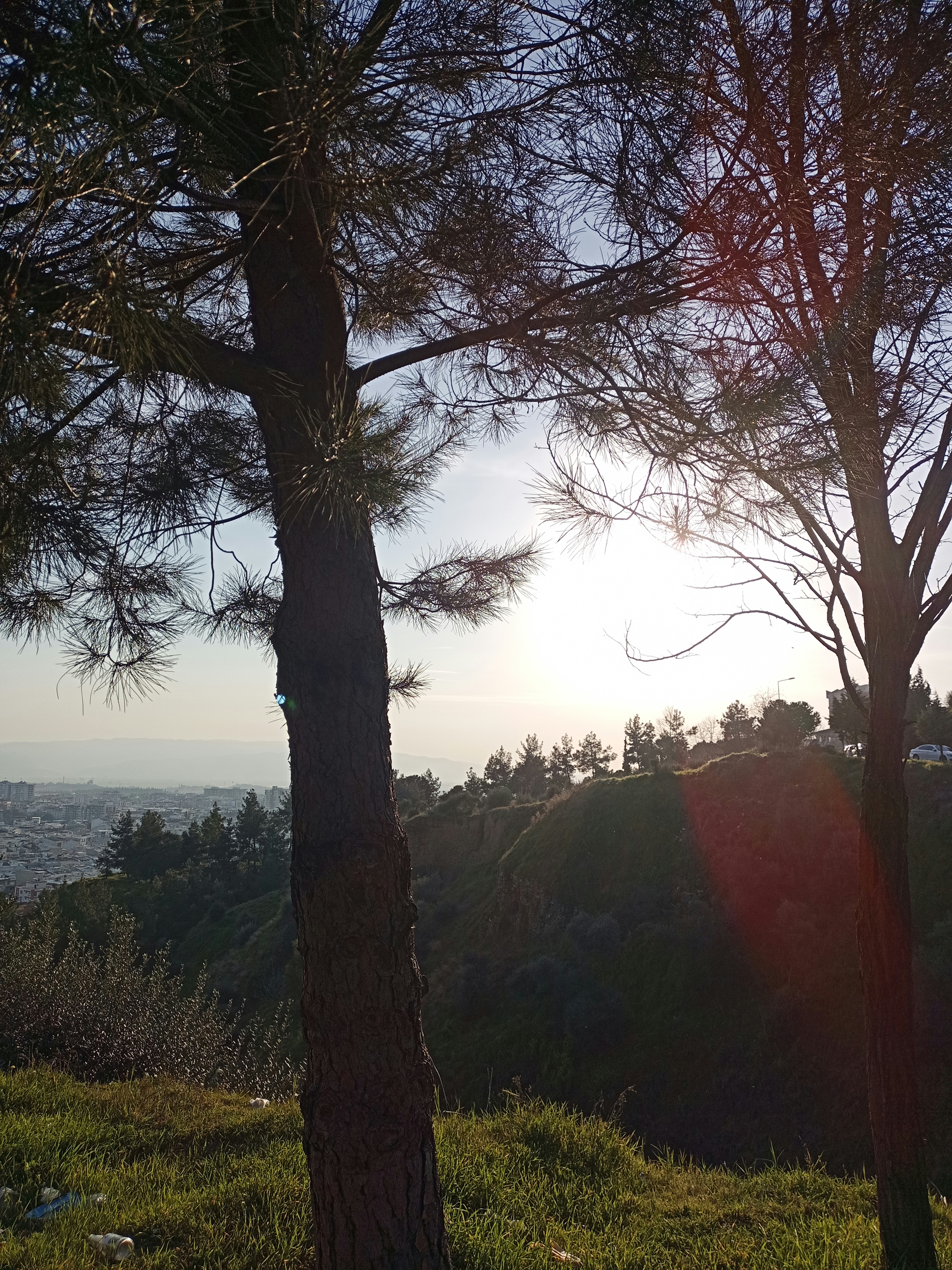 the sun is shining through the trees on the hill