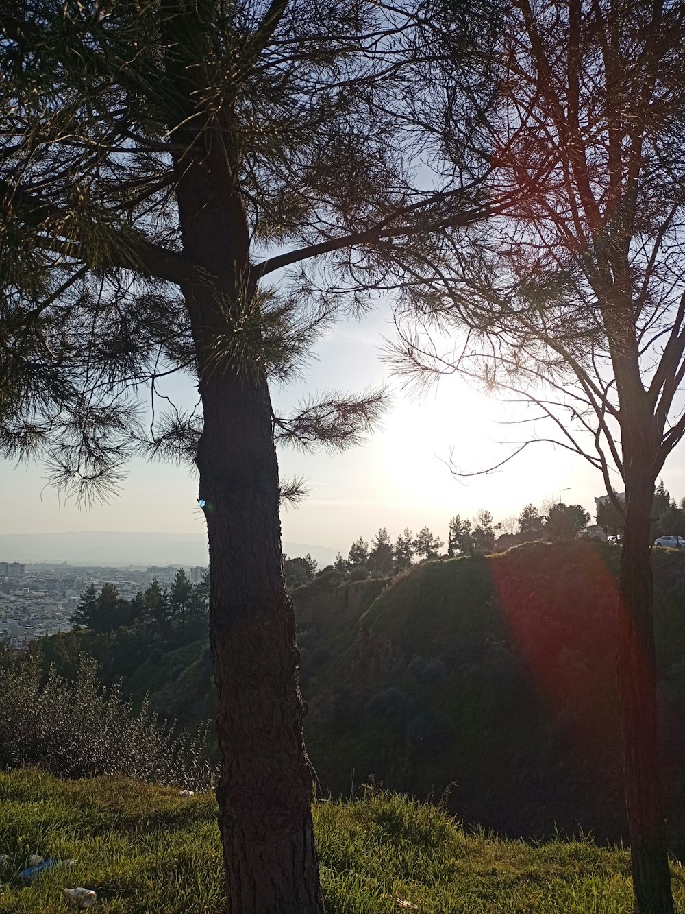 the sun is shining through the trees on the hill