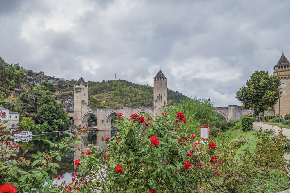 a castle with a bridge and flowers in the foreground