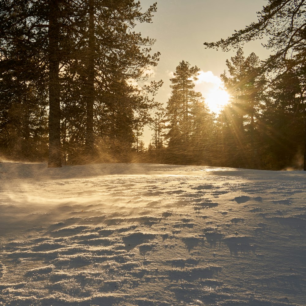 a person riding skis on a snowy surface