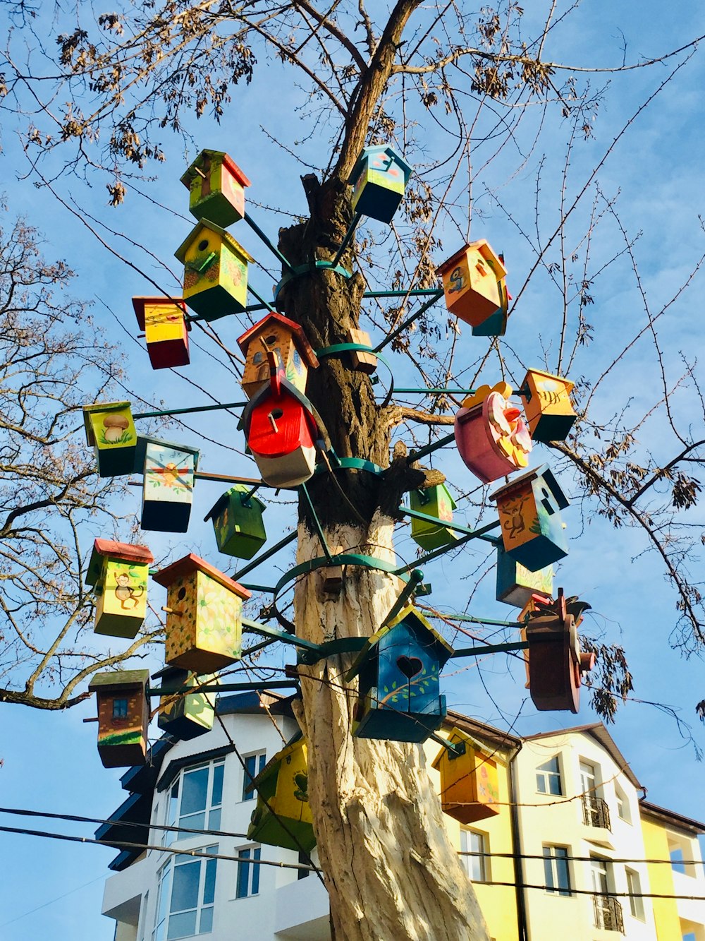 un árbol con un montón de casas para pájaros