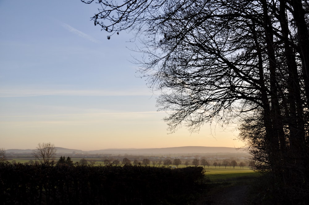 the sun is setting behind the trees in the field