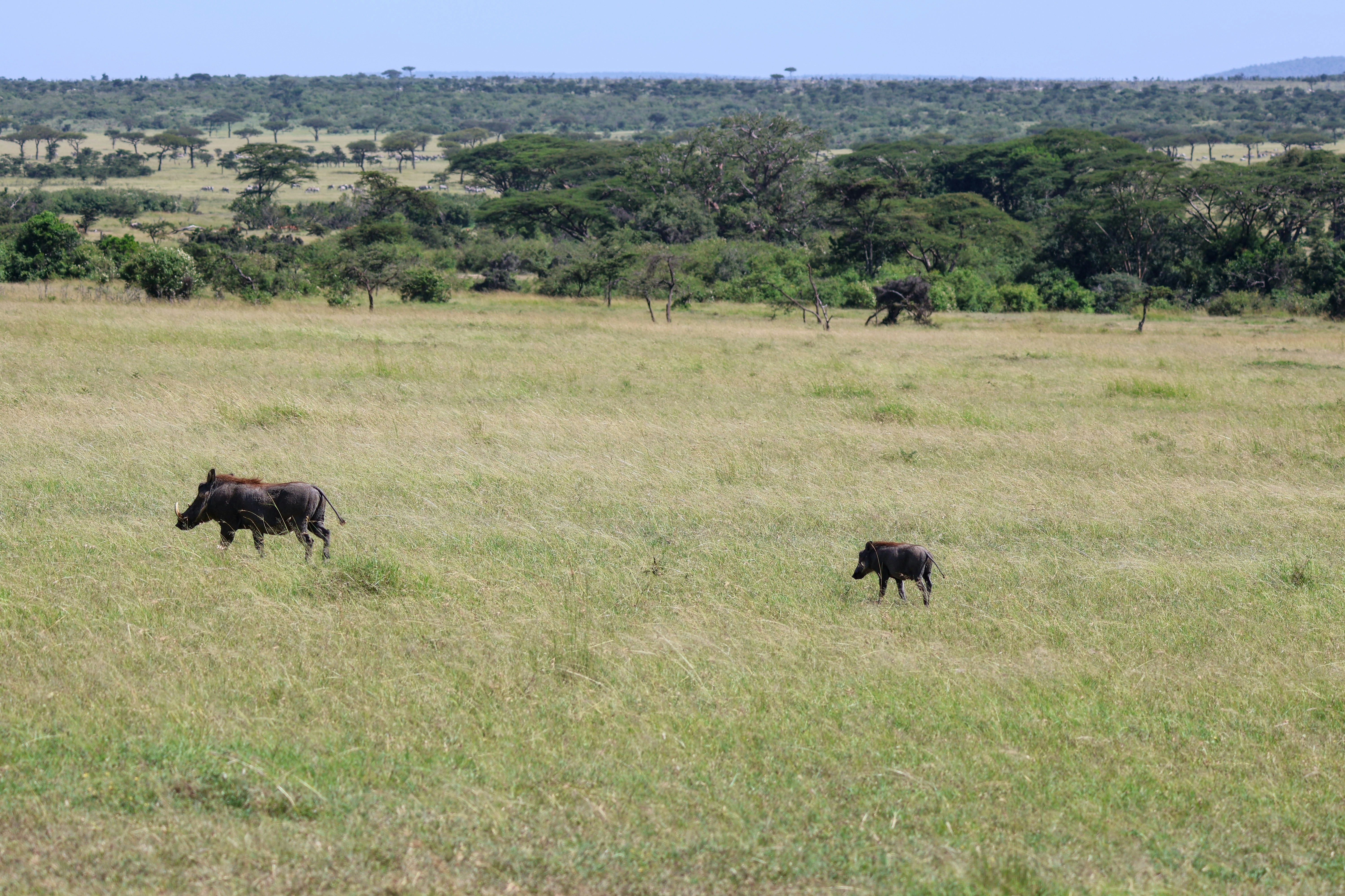 Photo by traveleroohlala