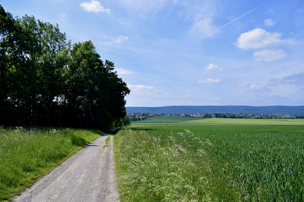 a dirt road in the middle of a green field