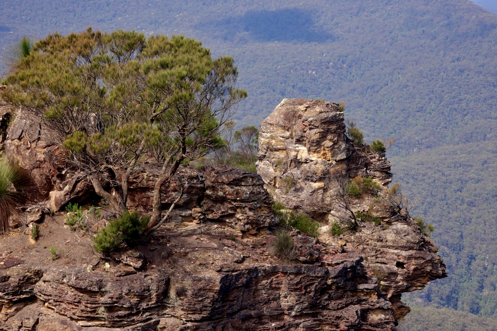 a rocky outcropping with trees on top of it