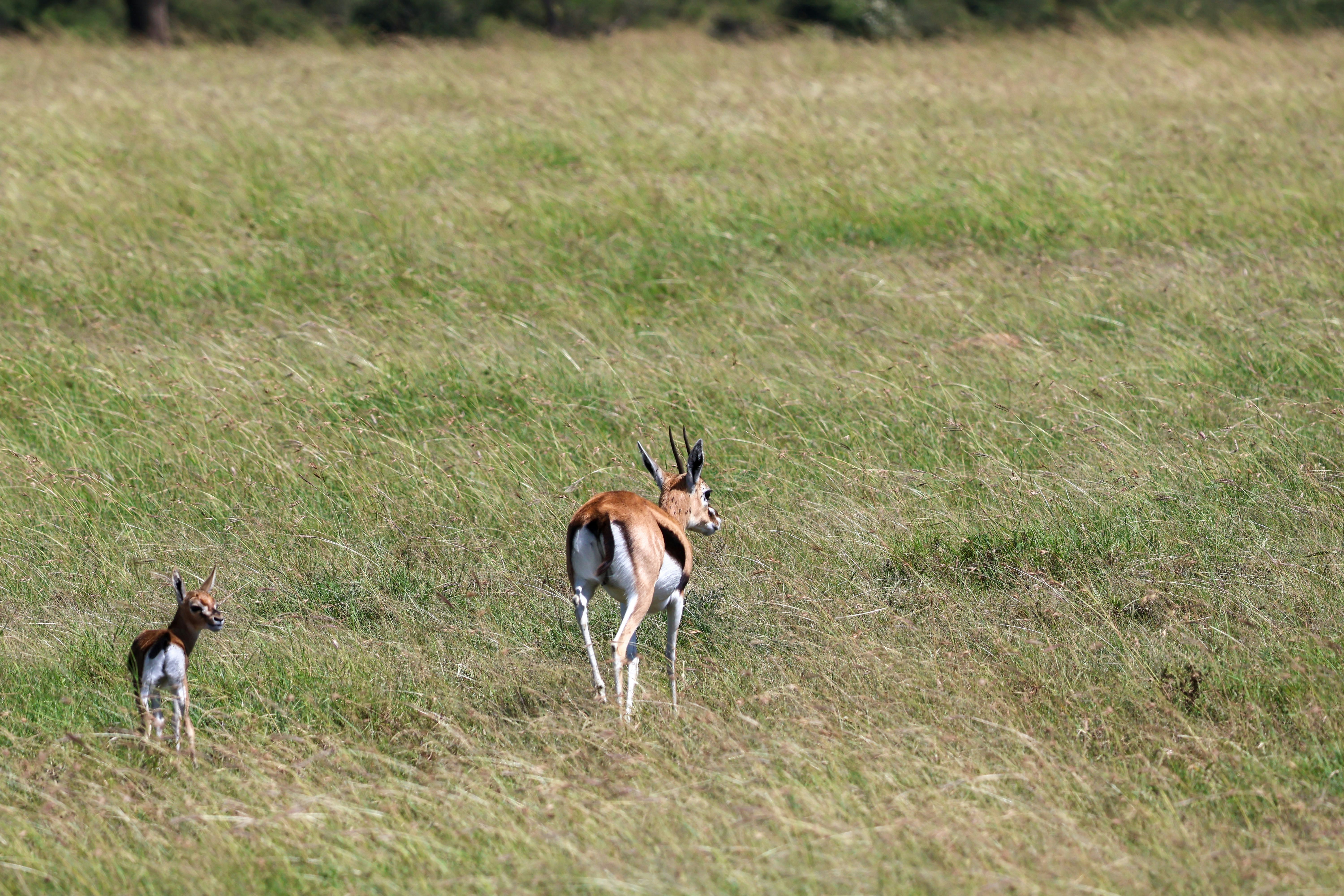 Photo by traveleroohlala