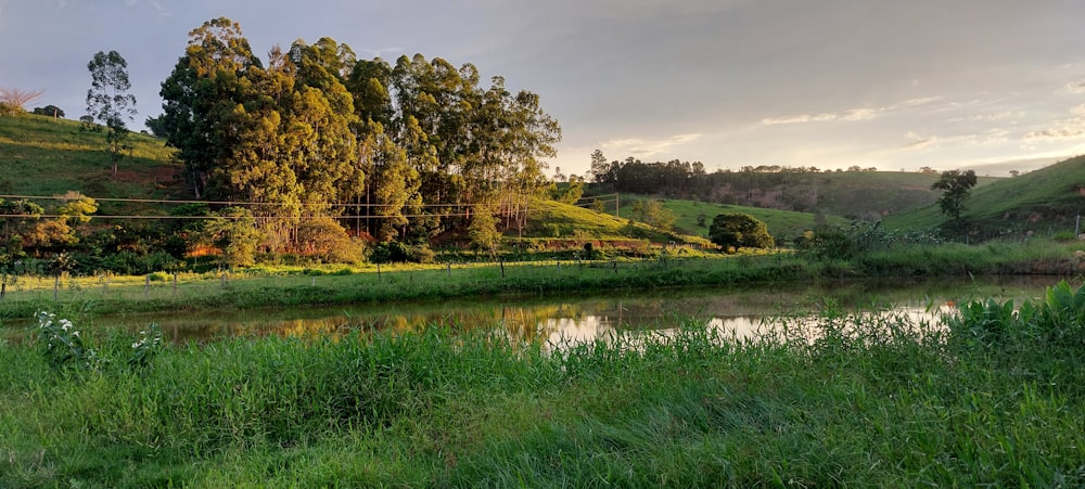 a river running through a lush green countryside