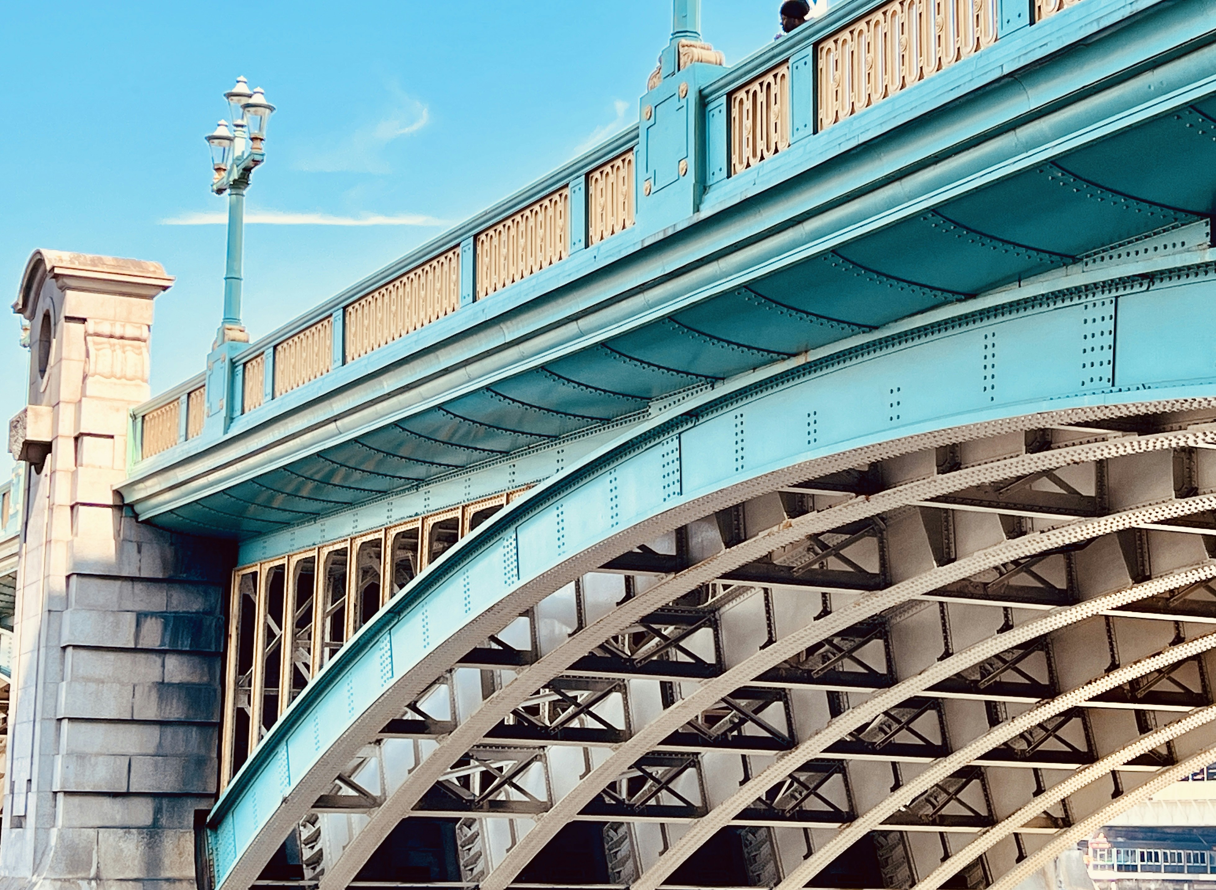 Photo by thebranches