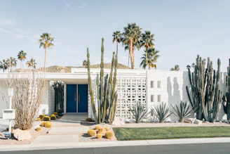 a white house with a cactus garden in front of it