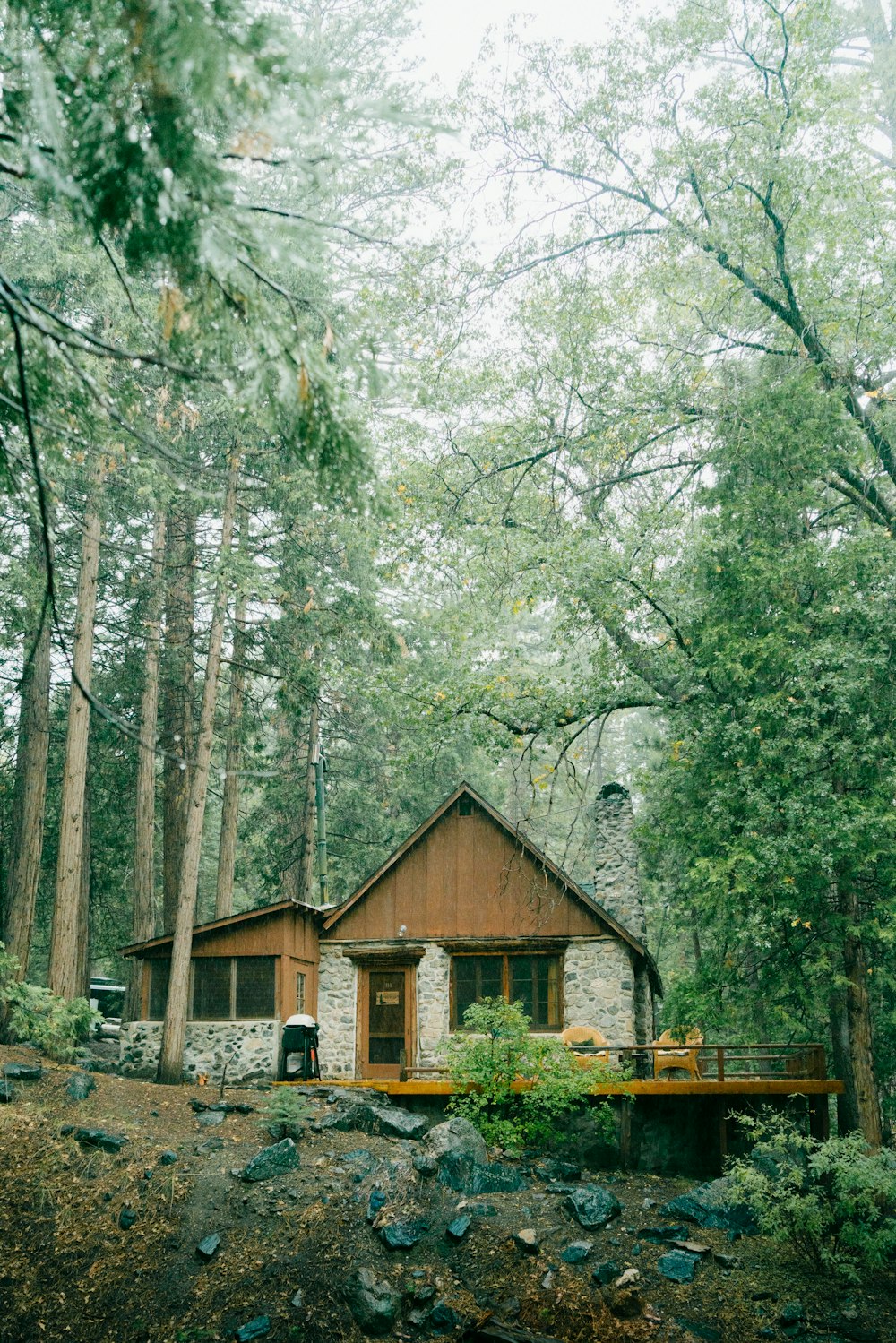 a cabin in the middle of a forest surrounded by trees