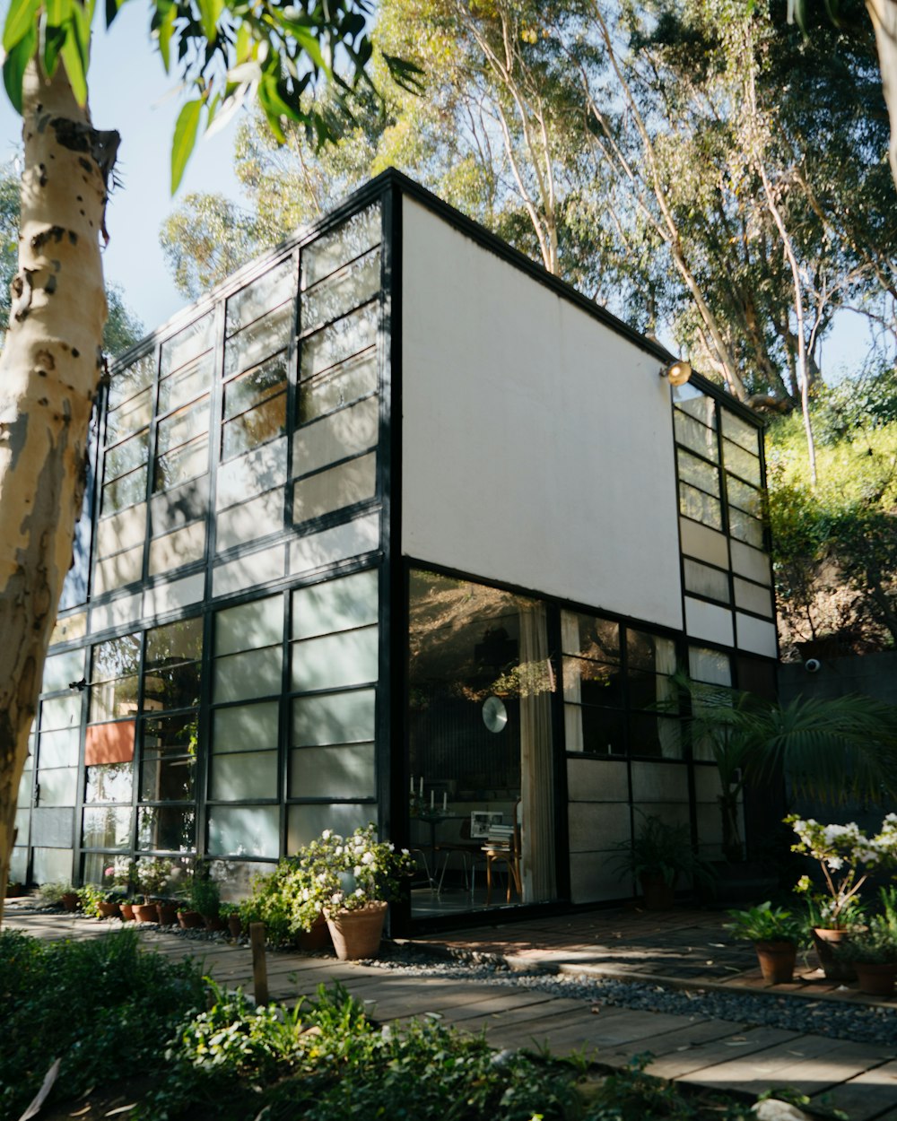 Una casa con muchas plantas y árboles a su alrededor